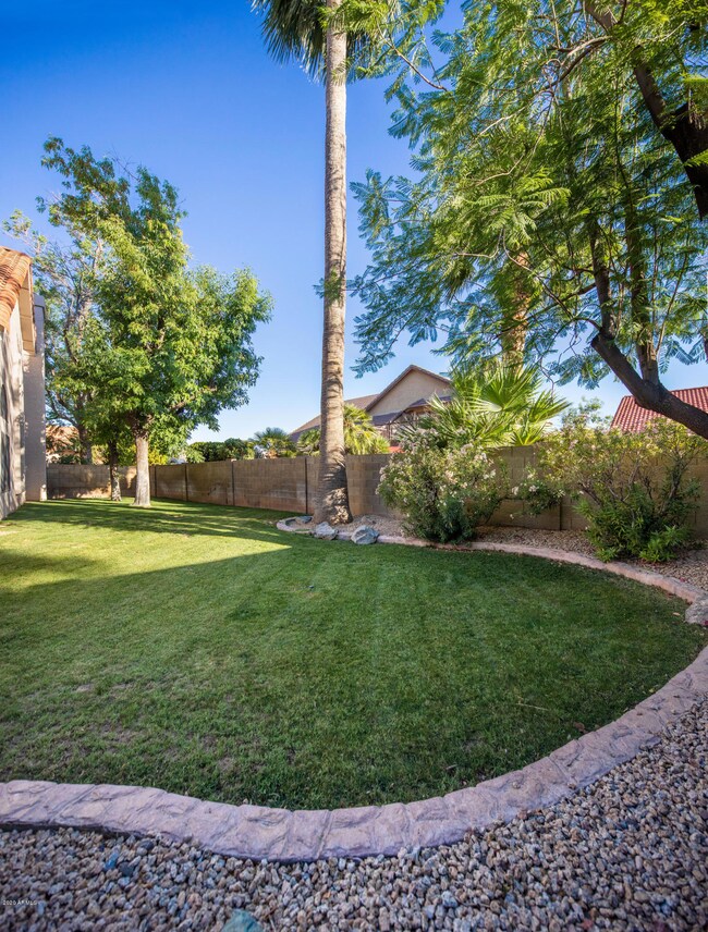 5M1A7625 Ray Fisher Grass Panorama