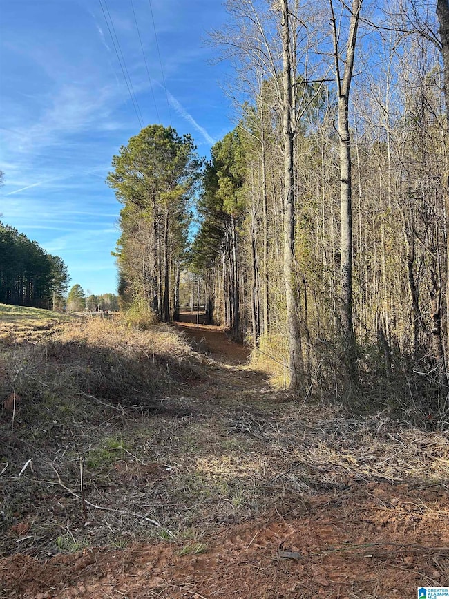 0 Highway 431 unit 21438889, Heflin, AL 36264 - photo 4