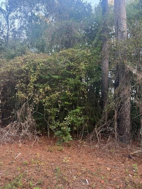 0 N Will Richardson Rd, Parish Governing Authority District 9, LA 70454 - photo 3