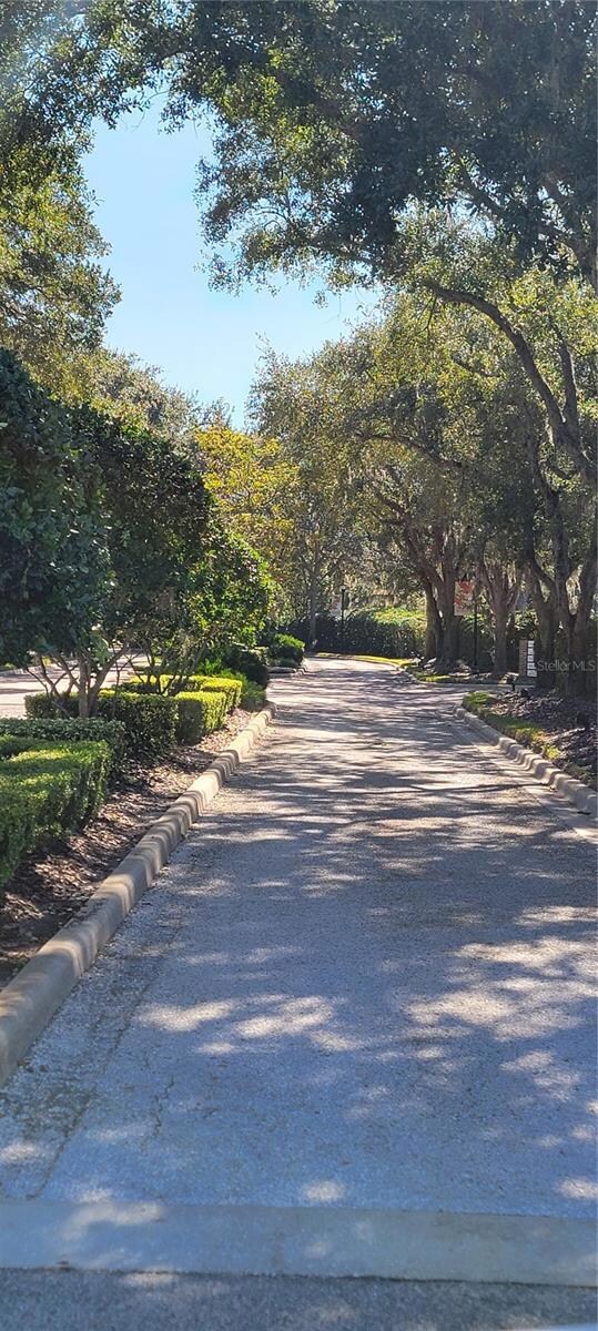 unlisted-address, Wesley Chapel, FL 33543 - photo 2