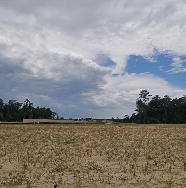 10906 Hillside Creek Dr, Humble, TX 77396 - photo 6