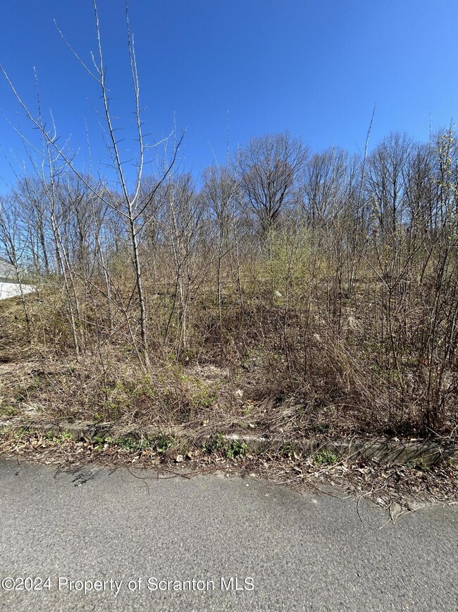 109 Black Walnut Dr, Olyphant, PA 18447 - photo 2