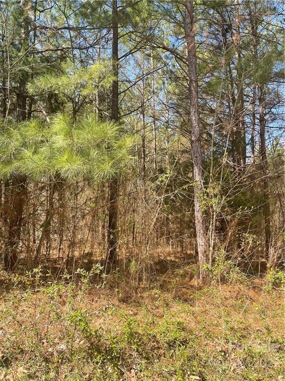 000 River Hill Rd, Statesville, NC 28625 - photo 3