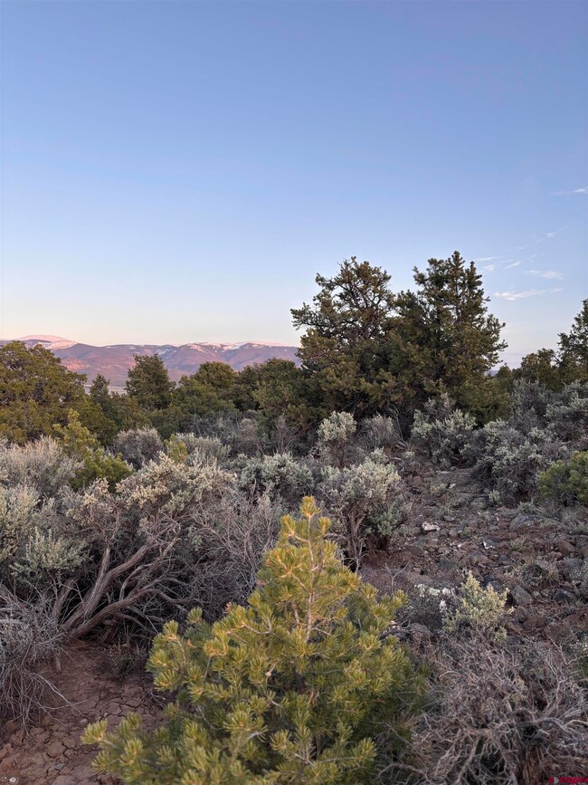 000 E View Ln, San Luis, CO 81152 - photo 5