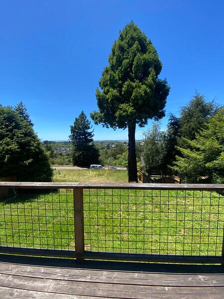 Deck View