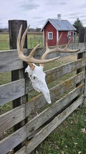 W9395 County Road C, Orange, WI 54618 - photo 7