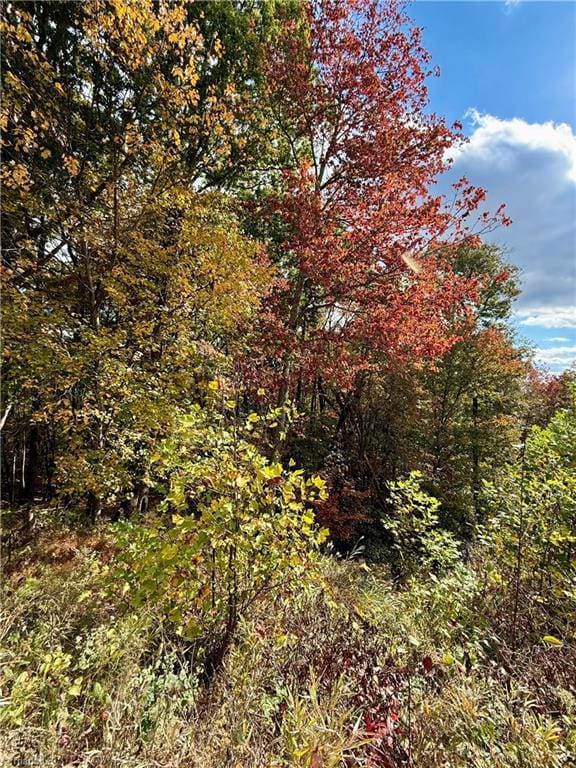 TBD Highland Rd N, North Wilkesboro, NC 28659 - photo 6