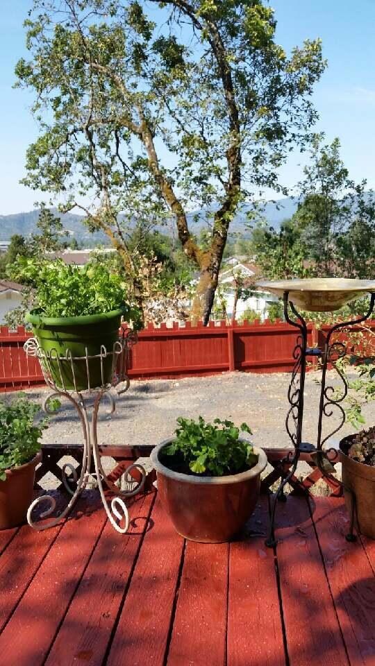 555 W Harbeck Rd, Grants Pass, OR 97527 - photo 3