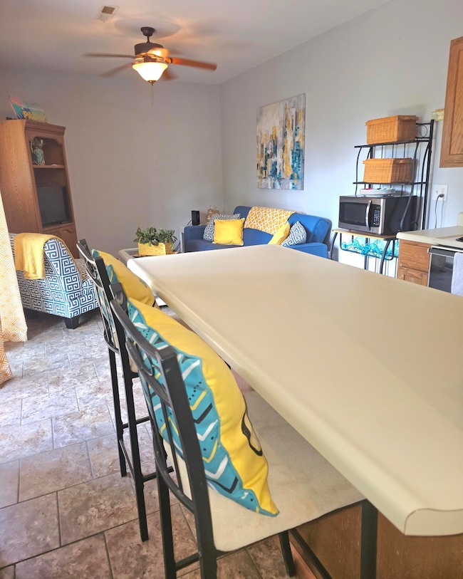 388 Notch Ln, Reeds Spring, MO 65737 - photo 4