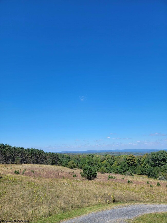 TBD Head Rd, Mount Storm, WV 26739 - photo 2
