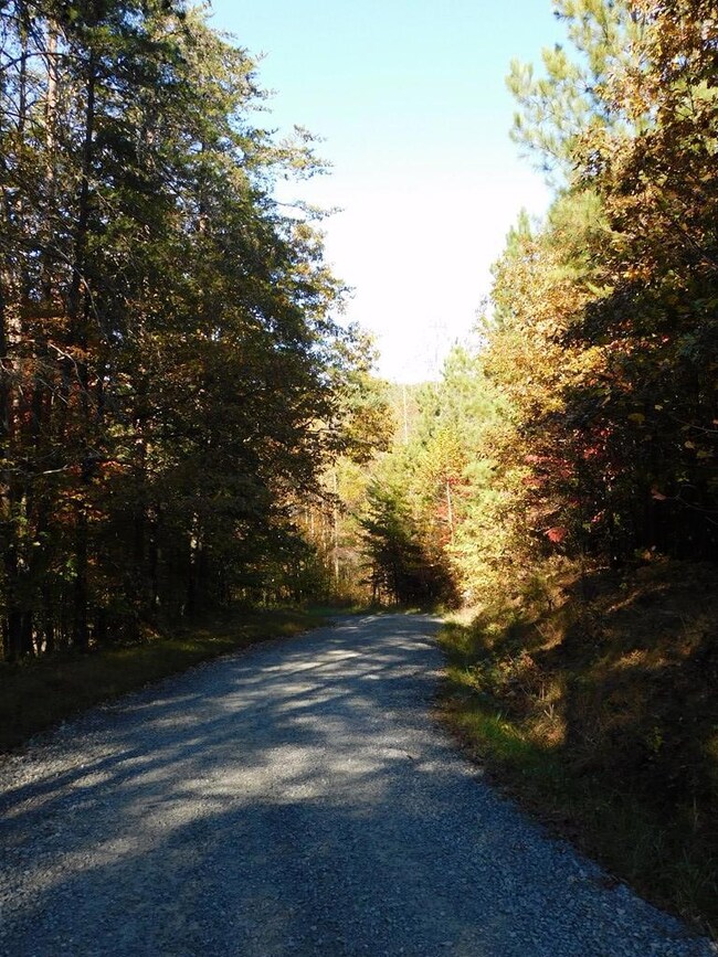 5.88 Grassland Dr, Sandy Level, VA 24161 - photo 6