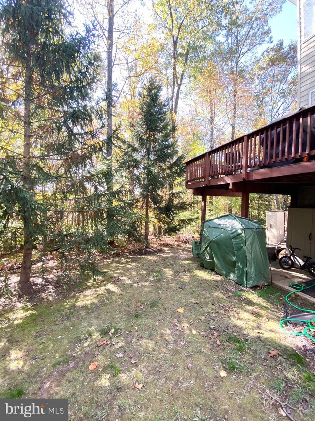 5462 Summer Leaf Ln, Alexandria, VA 22312 - photo 5