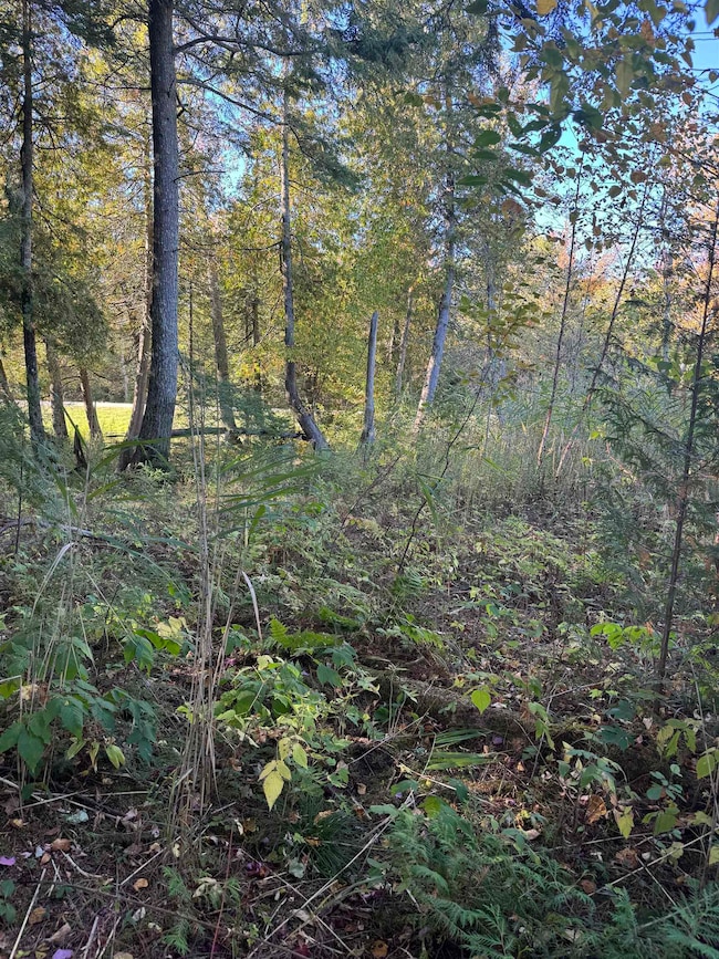 0 E State Highway M35, Menominee, MI 49858 - photo 6