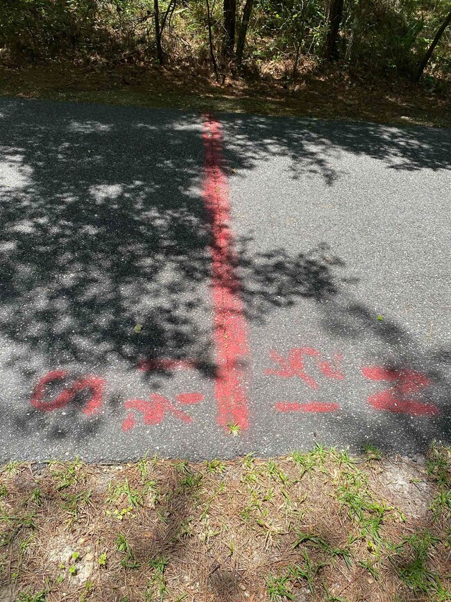 34 White Tail Dr, Crawfordville, FL 32327 - photo 4