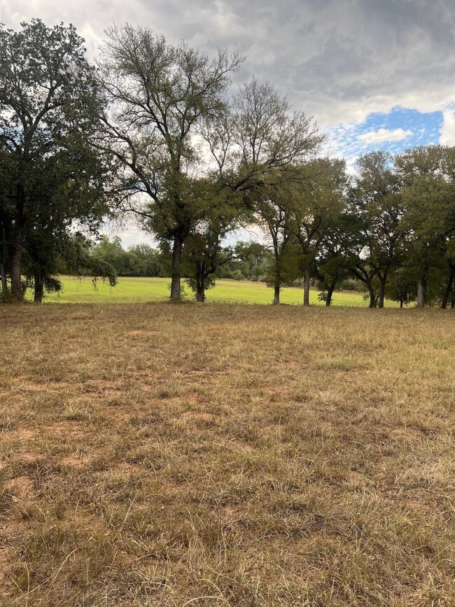 TBD A Big Valley Cir, Lipan, TX 76462 - photo 7