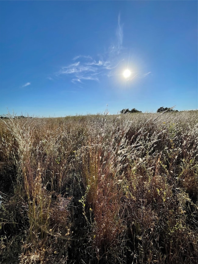 935 Vz County Road 3201, Wills Point, TX 75169 - photo 5