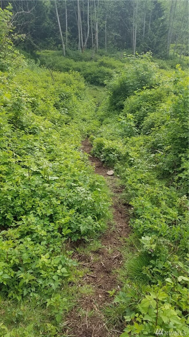 3520 300th St NW, Stanwood, WA 98292 - photo 5