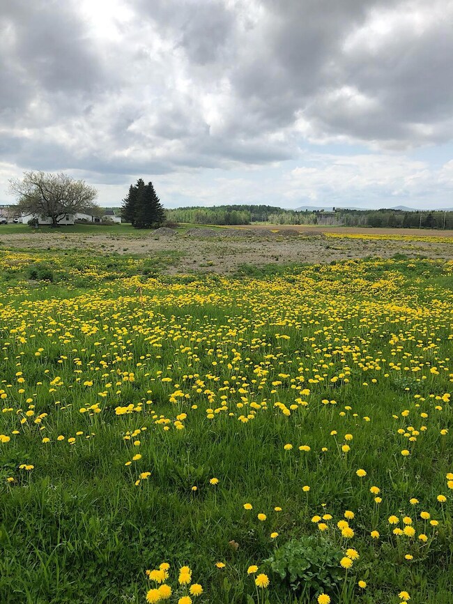 392 Station Rd, Easton, ME 04740 - photo 3