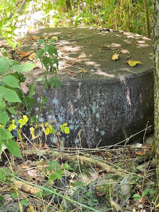 3201 Harp Pike, Frankfort, KY 40601 - photo 7