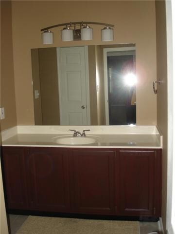 Master Bathroom Vanity has abundant countertop space, roll-out shelves & updated light fixtures. 