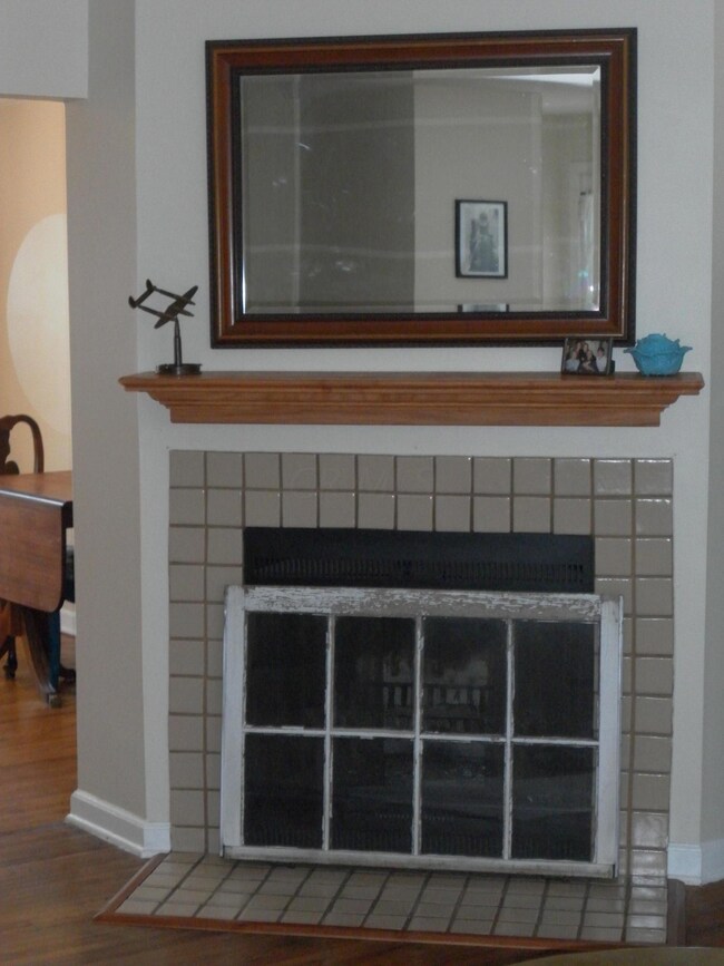 Upclose Fireplace