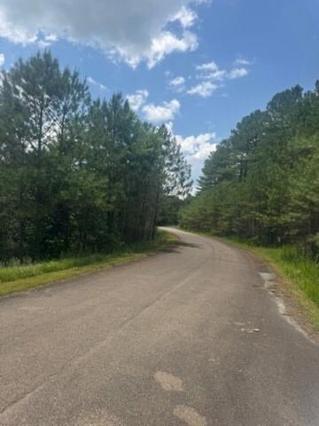 LT 43&44 Reece Mountain Rd, Ellijay, GA 30546 - photo 4