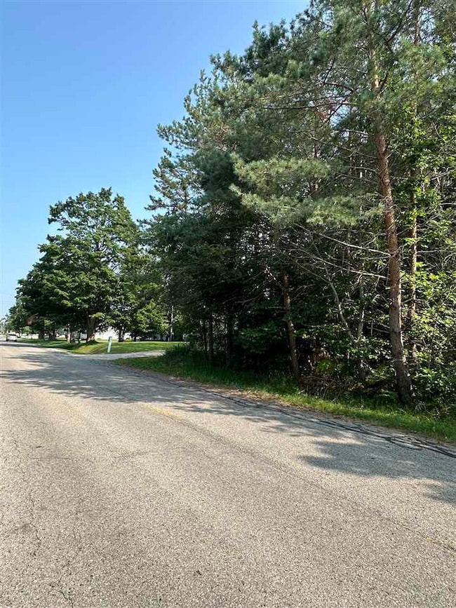 TBD Sheridan, Petoskey, MI 49770 - photo 3