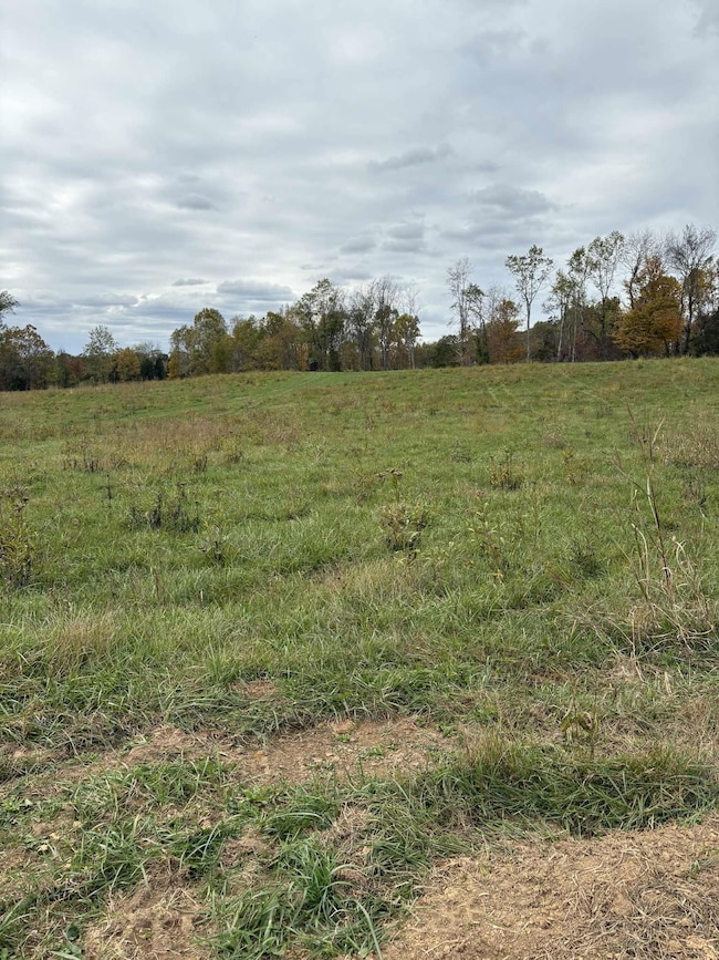 Pine Grove Ch Rd, Vanceburg, KY 41179 - photo 3