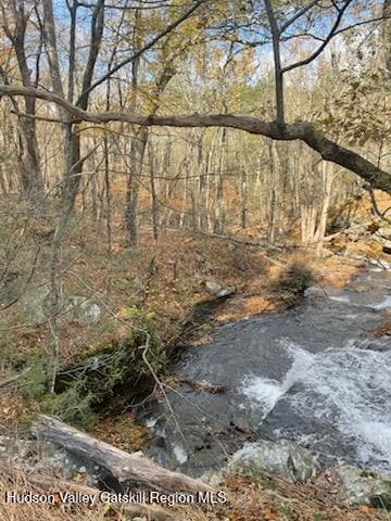 IMG_5268_1762470559173