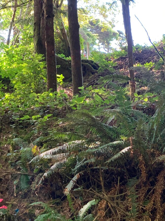View of Southwest Corner Stake