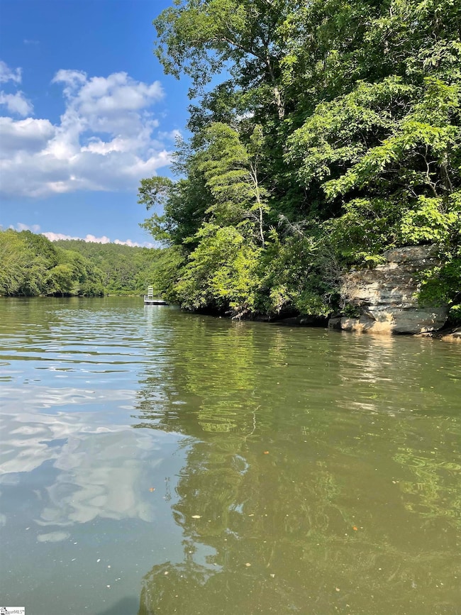 TBD Colony Ln, West Union, NC 29696 - photo 3