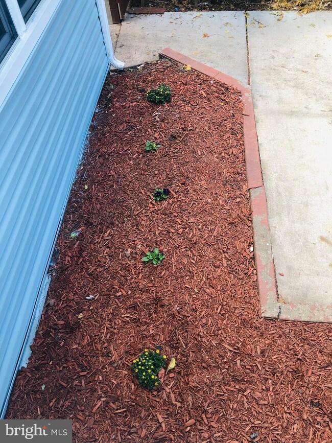 36 Pelczar Ave, Essex, MD 21221 - photo 6