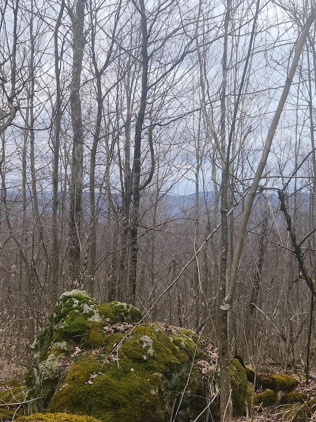 TBD Harper Trail, Valley Bend, WV 26293 - photo 4