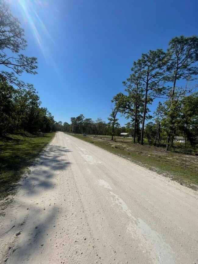 000 Red Oak Rd, Keaton Beach, FL 32348 - photo 4