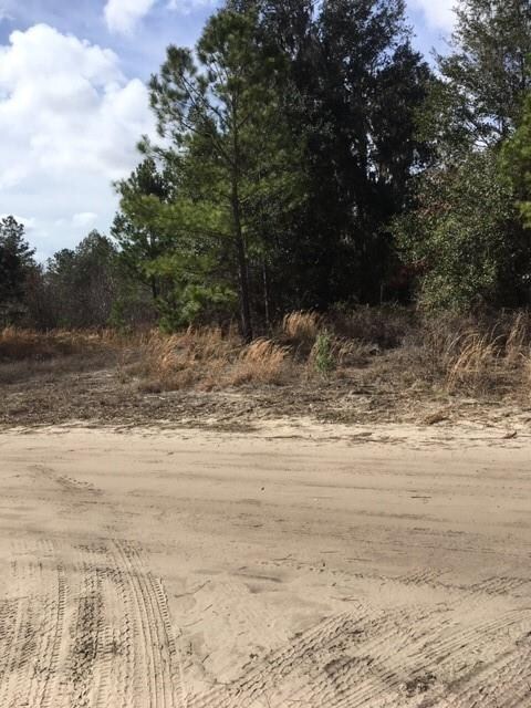 Lot 115 Colonial Coast Cir, Townsend, GA 31331 - photo 3