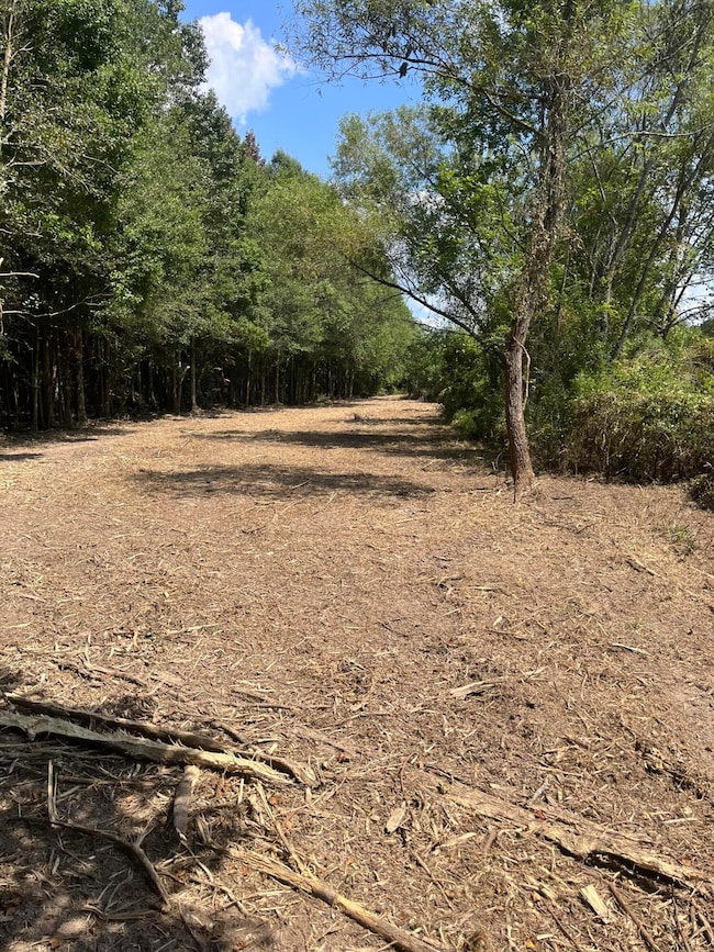 0 George Boutwell Rd, Ovett, MS 39464 - photo 3