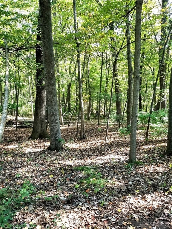 0 Red Gate Ln unit 73348273, Amherst, MA 01002 - photo 2