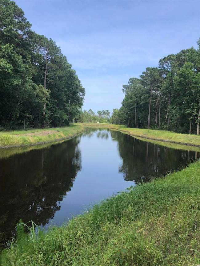 Water view with a forest