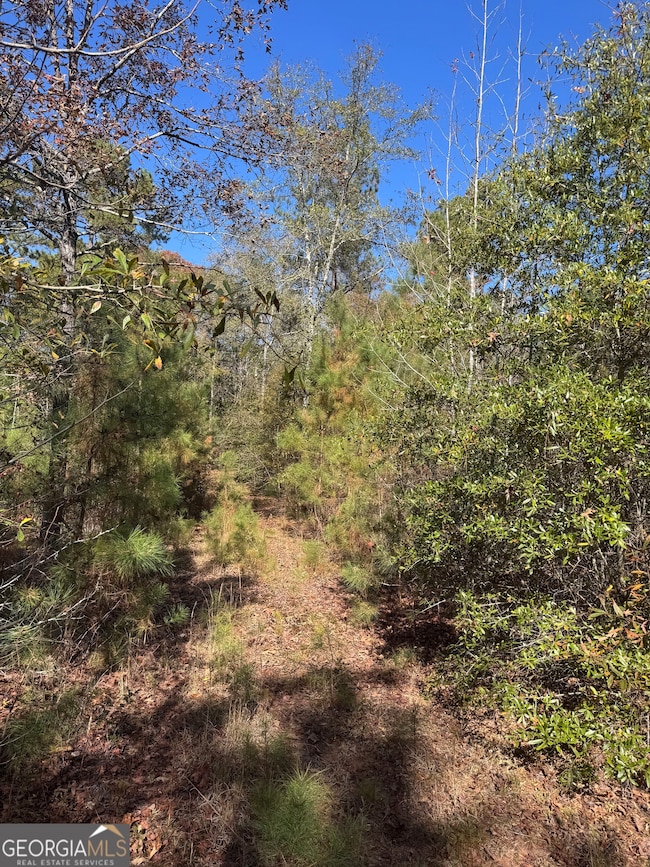 143 W Drummond Rd, West Point, GA 31833 - photo 2