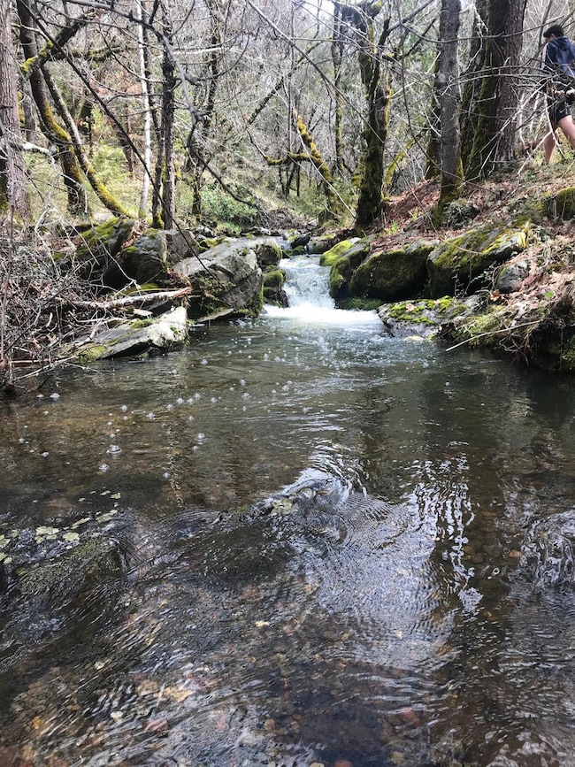 18488 Ponderosa Annex Rd, Sutter Creek, CA 95685 - photo 3