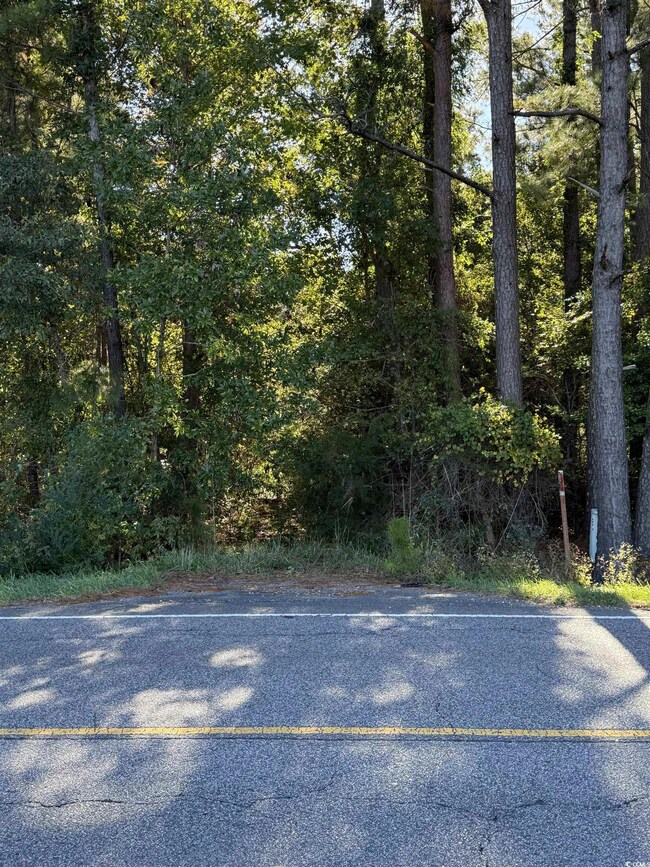 0 Highway 57 unit 2528836, Little River, SC 29566 - photo 4