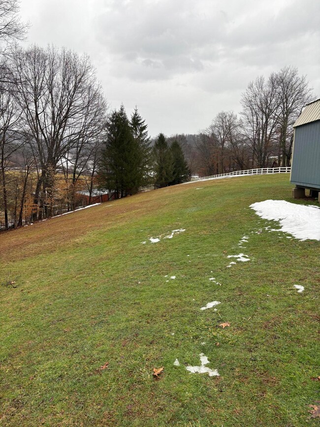 1087 Silo Rd unit 1087, Summersville, WV 26651 - photo 5