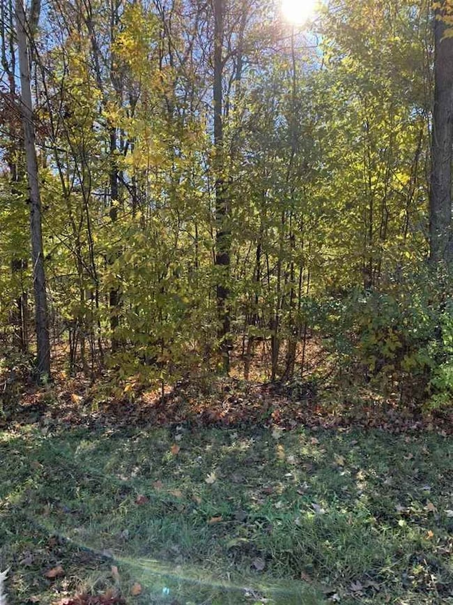 0 Stonebrook Ln, Flint Township, MI 48433 - photo 3