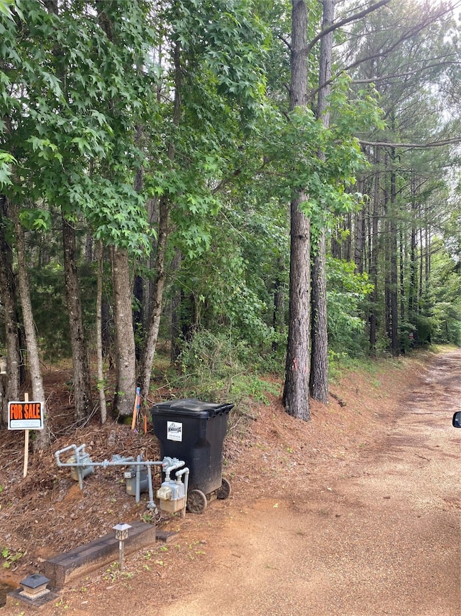 000 Old Plain Dealing Rd, Plain Dealing, LA 71064 - photo 3