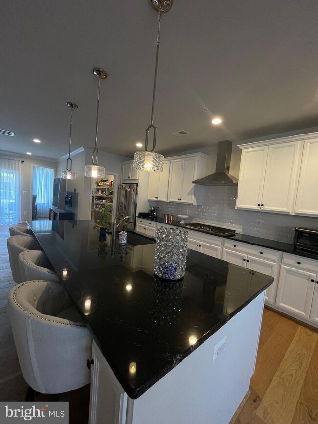 23584 Waterford Downs Terrace, Ashburn, VA 20148 - photo 4