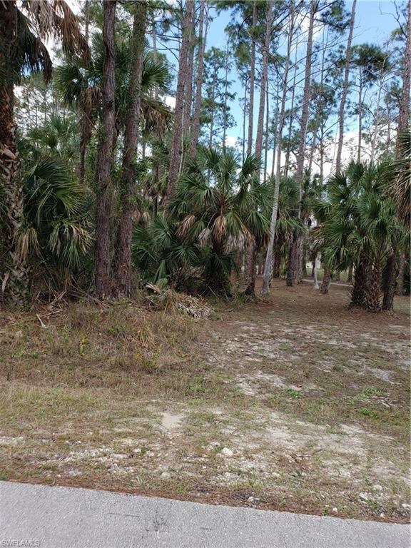 0 3rd St SW unit 219029589, Naples, FL 34117 - photo 5