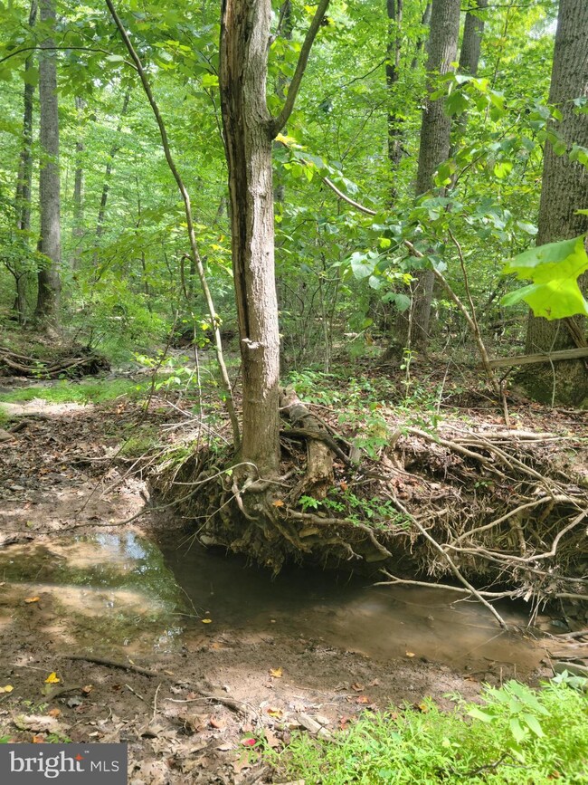 Lot 8 Jermikey Ct, Hedgesville, WV 25427 - photo 5