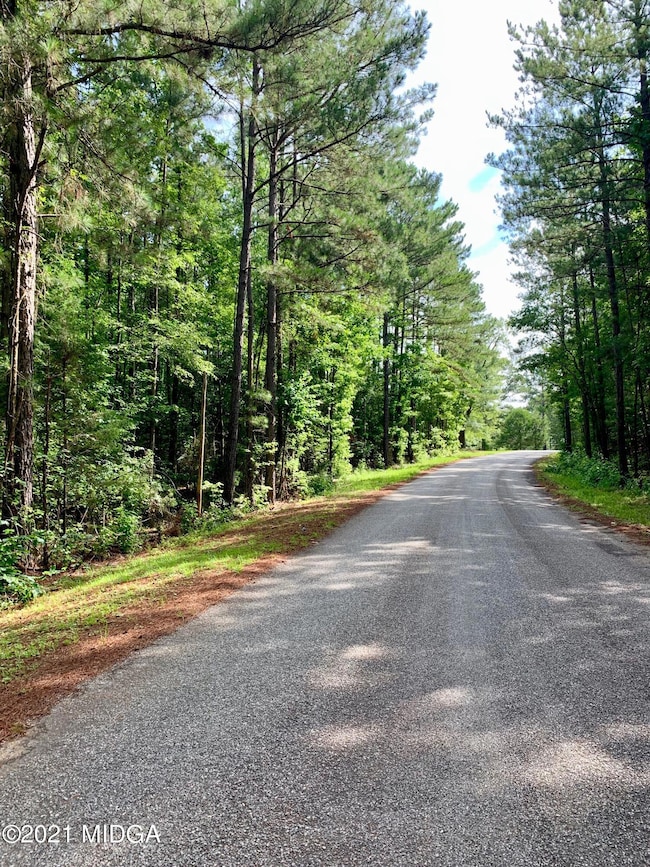 0 Watson Rd unit M161519, Forsyth, GA 31029 - photo 2