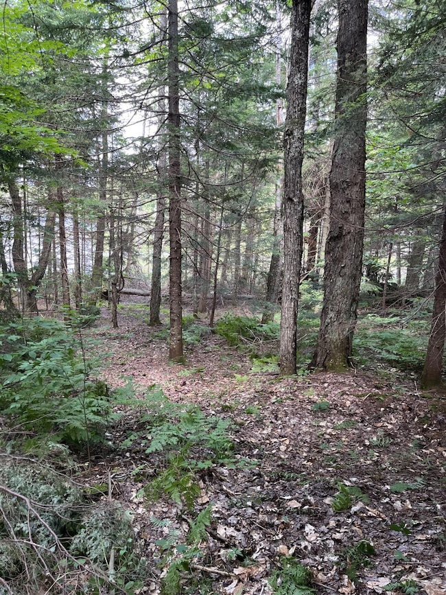 Acreage