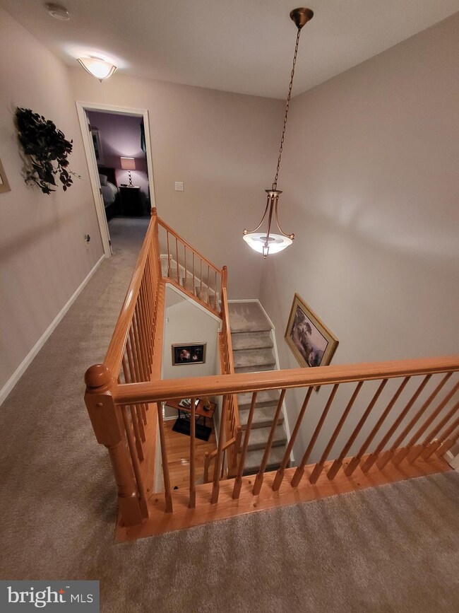 1 Pastern Terrace, Burlington, NJ 08016 - photo 6